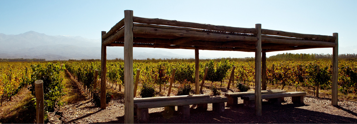Development land adjacent to established vineyards